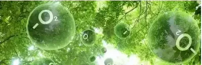 news-680-221 news-680-221